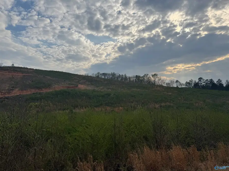 18+\- acres County Road 6, Piedmont, AL 36272 - #2