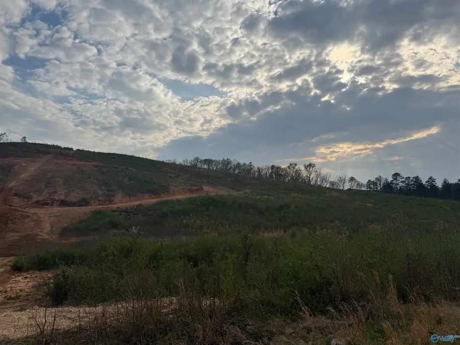 18+\- acres County Road 6, Piedmont, AL 36272 - #3