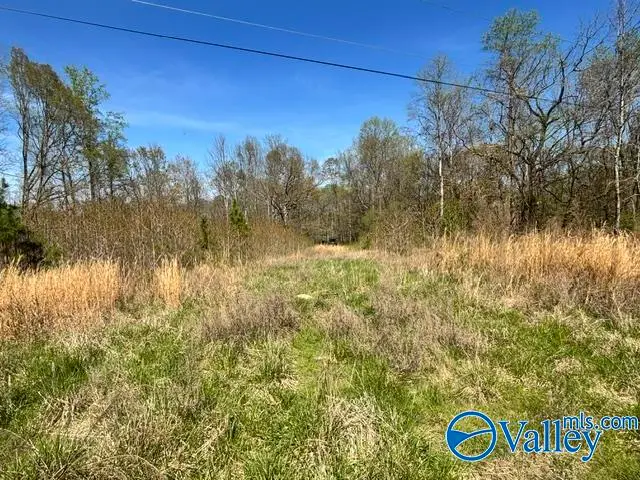 19 acres County Road 148, Stevenson, AL 35772 - #1