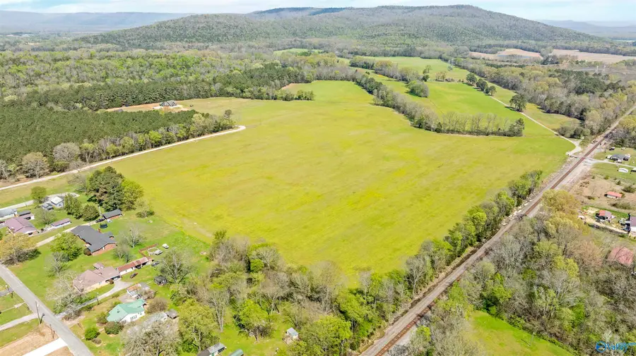 50.56 acres Main Street, Hollywood, AL 35752 - #3