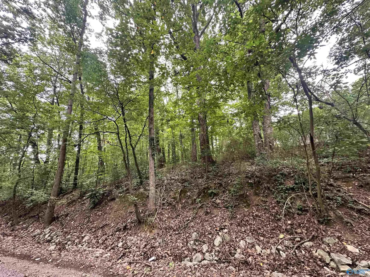 Lot 24 Oakhill Drive Nw, Cullman, AL 35055 - #1