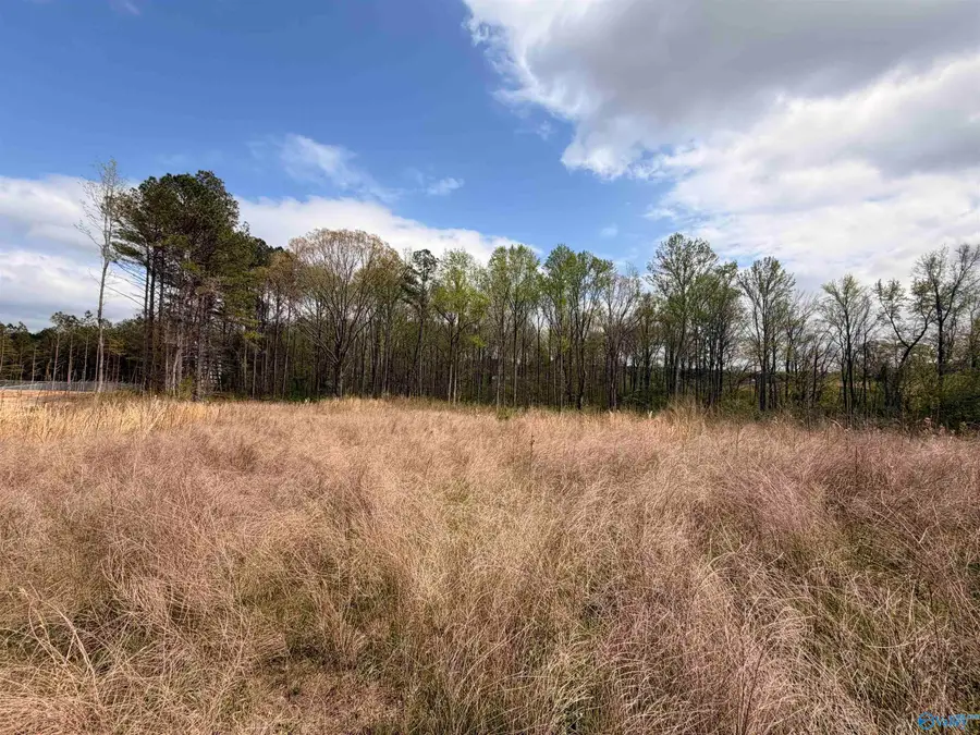 10400 Us Highway 431, Boaz, AL 35956 - #3