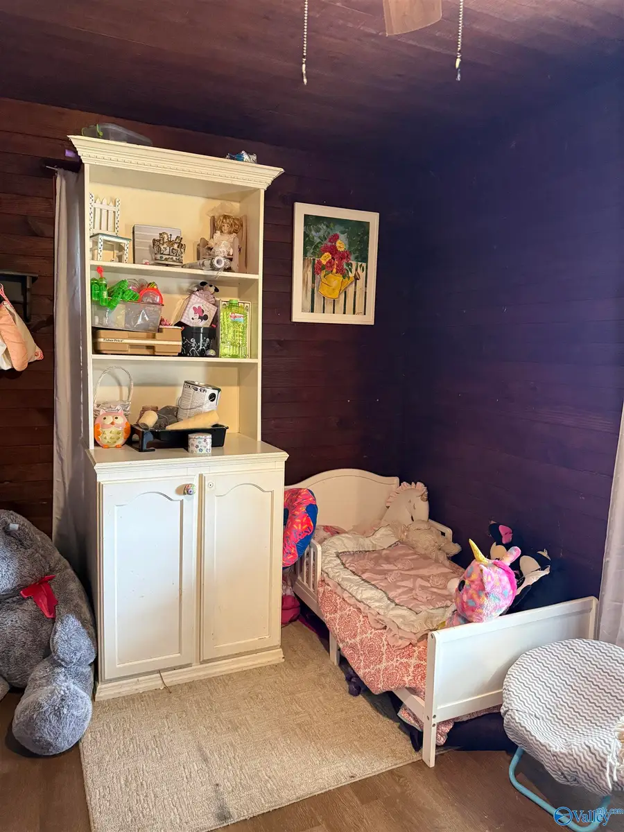 1421 County Road 538, Fyffe, AL 35971 - #3