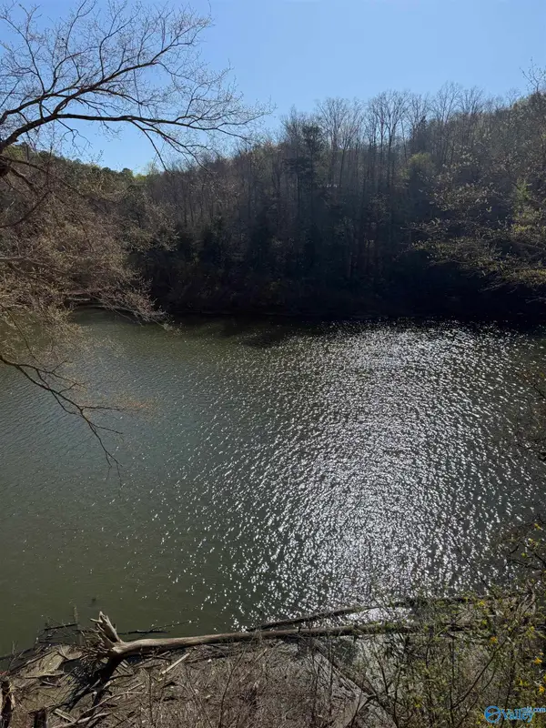 Lot  11 County Road 3782, Arley, AL 35541