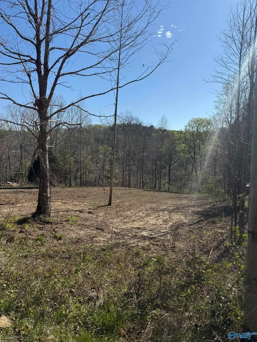 Lot  11 County Road 3782, Arley, AL 35541 - #2