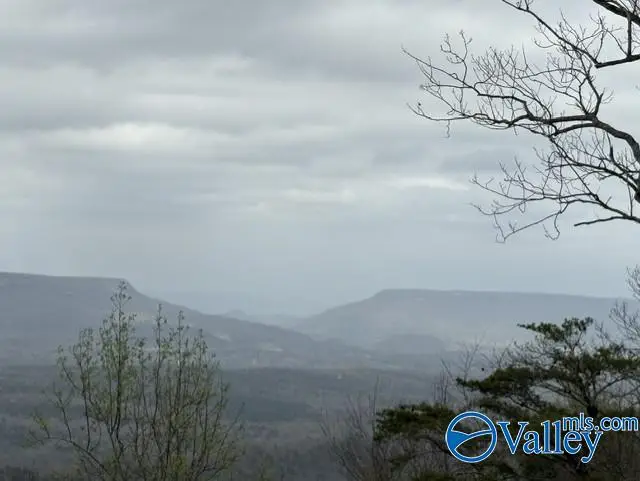 68 County Road 89 N, Mentone, AL 35984 - #1