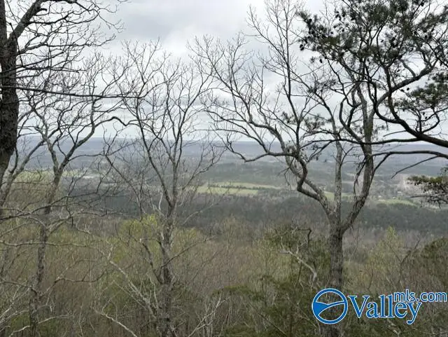 68 County Road 89 N, Mentone, AL 35984 - #2