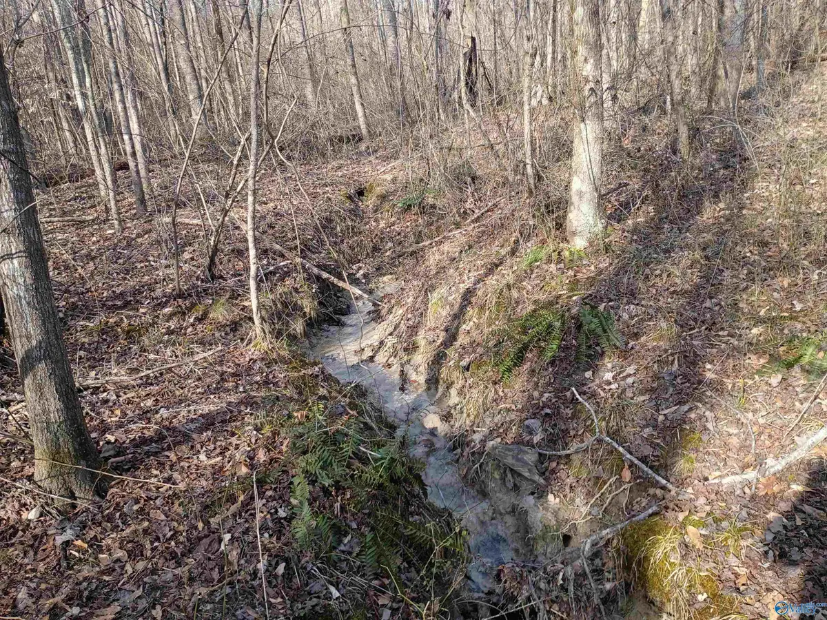 4960 Newburg Road, Haleyville, AL 35565 - #1