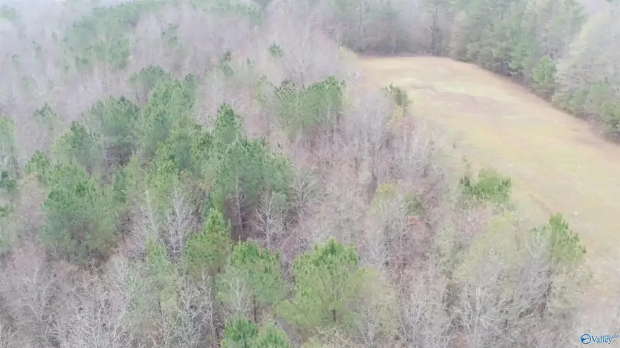 4960 Newburg Road, Haleyville, AL 35565 - #2