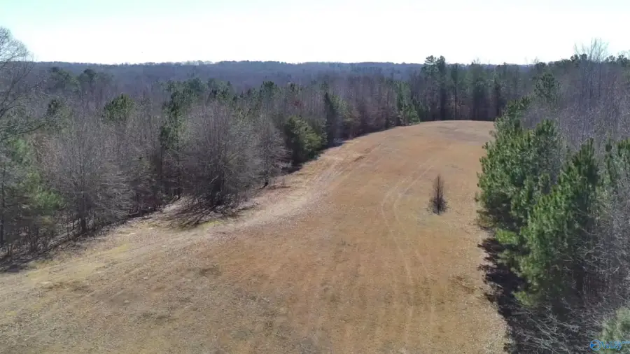 4960 Newburg Road, Haleyville, AL 35565 - #3