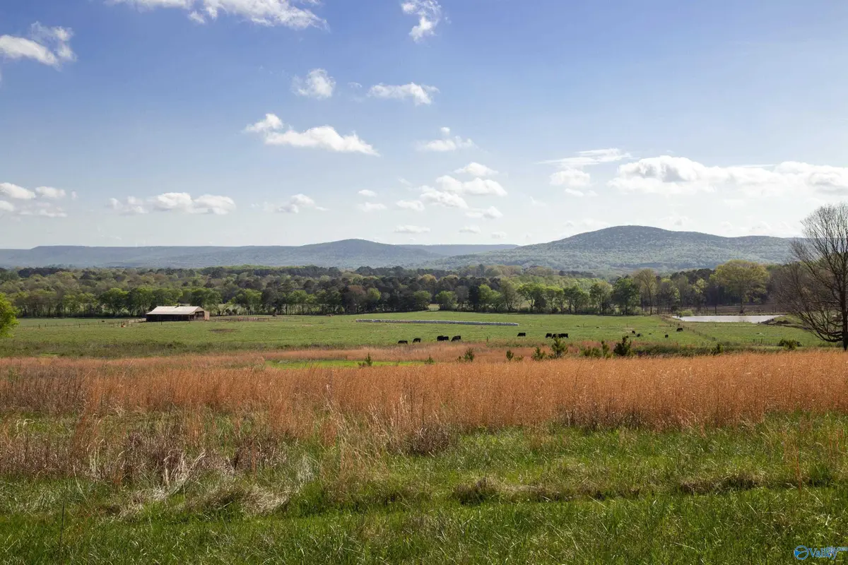 16.6 Acres Dug Hill Road, Brownsboro, AL 35741 - #1
