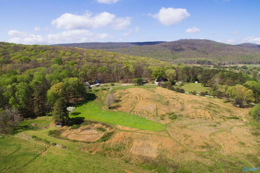 16.6 Acres Dug Hill Road, Brownsboro, AL 35741 - #3