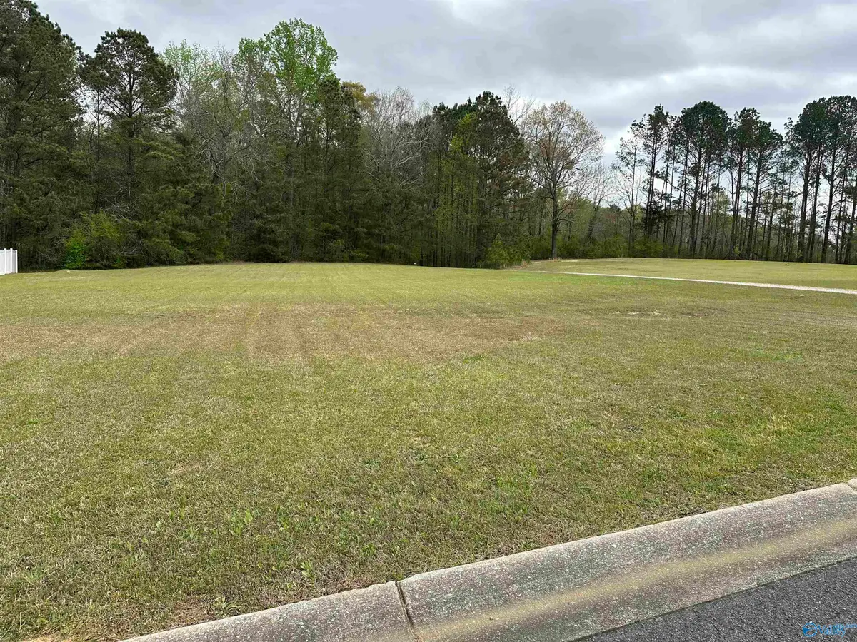 Lot #5 Veranda Trace, Hokes Bluff, AL 35903 - #1