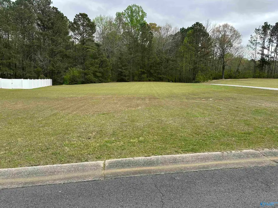 Lot #5 Veranda Trace, Hokes Bluff, AL 35903 - #3