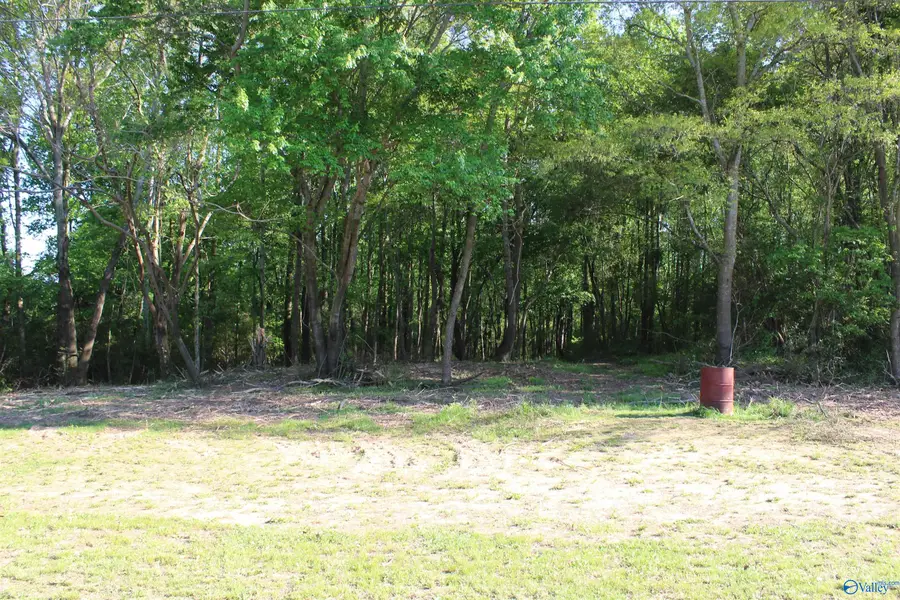 62 Luthers Road, Guntersville, AL 35976 - #2