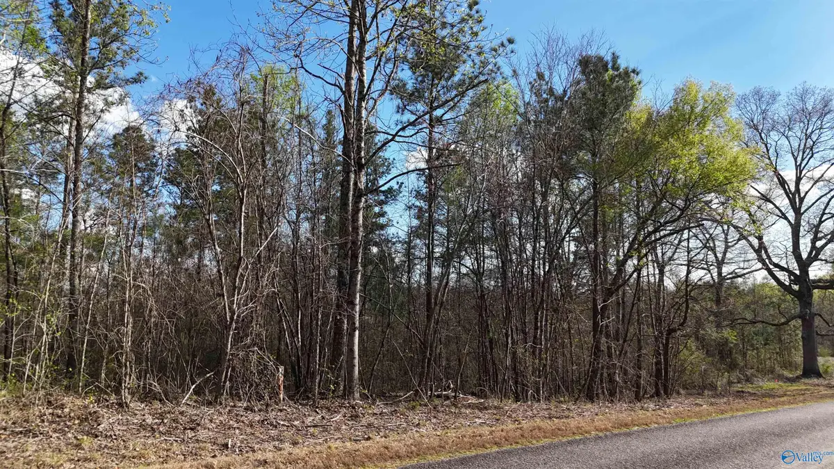 05 County Road 14, Muscadine, AL 36269 - #1