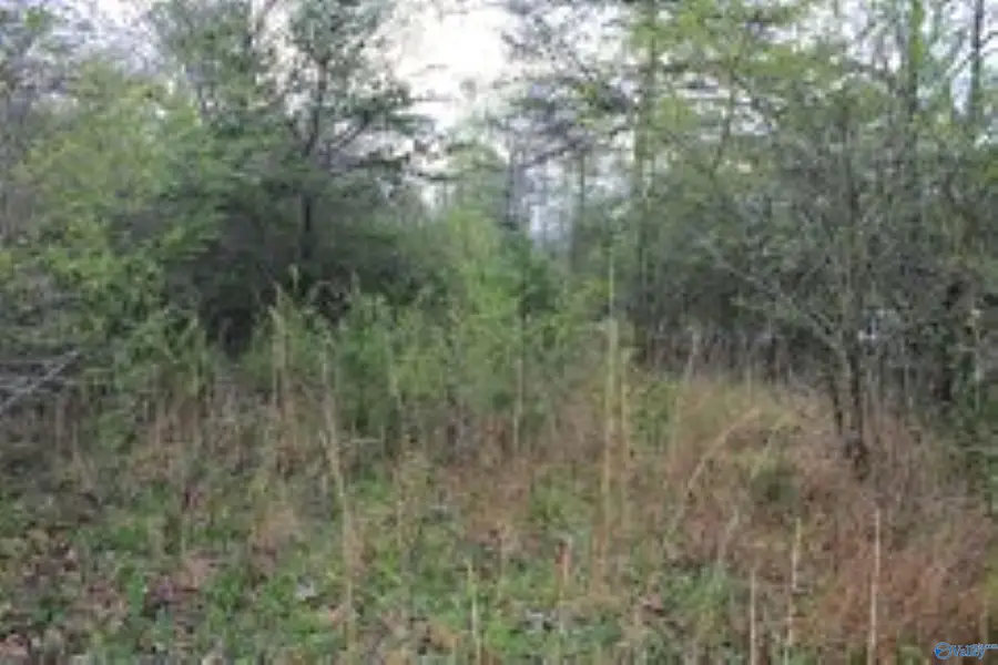 3.23 +/- Acres County Road 52, Sand Rock, AL 35983 - #2