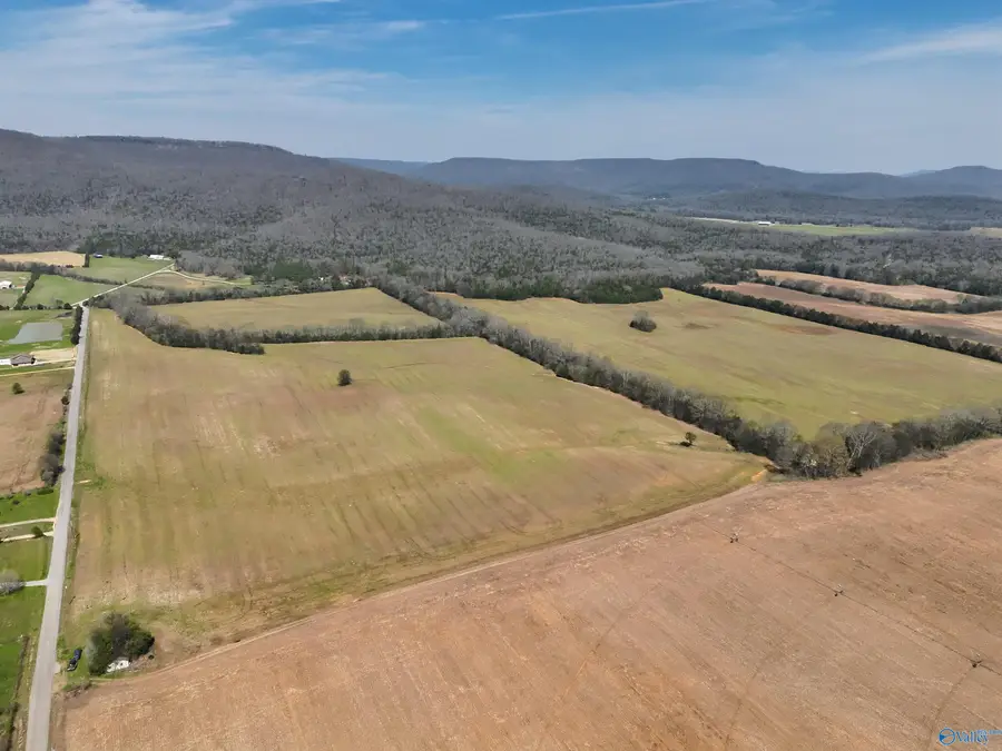 160 Acres County Road 530, Scottsboro, AL 35768 - #3