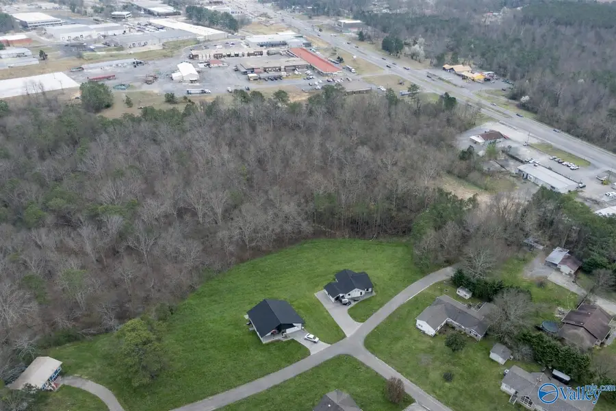 6400 Dalewood Lane, Guntersville, AL 35976 - #2