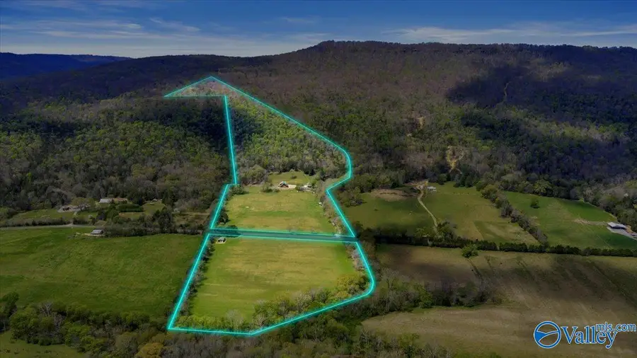 1835 County Road 9, Estillfork, AL 35745 - #2