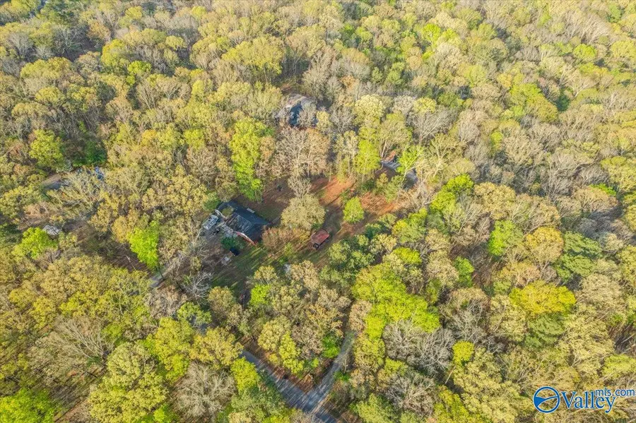 92 Oakmont Trail, Somerville, AL 35670 - #3