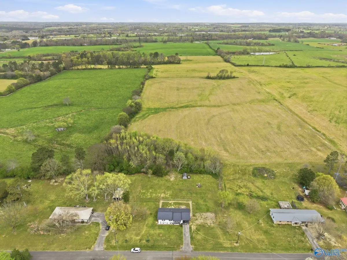 337 Thomas Drive, Fyffe, AL 35971 - #1