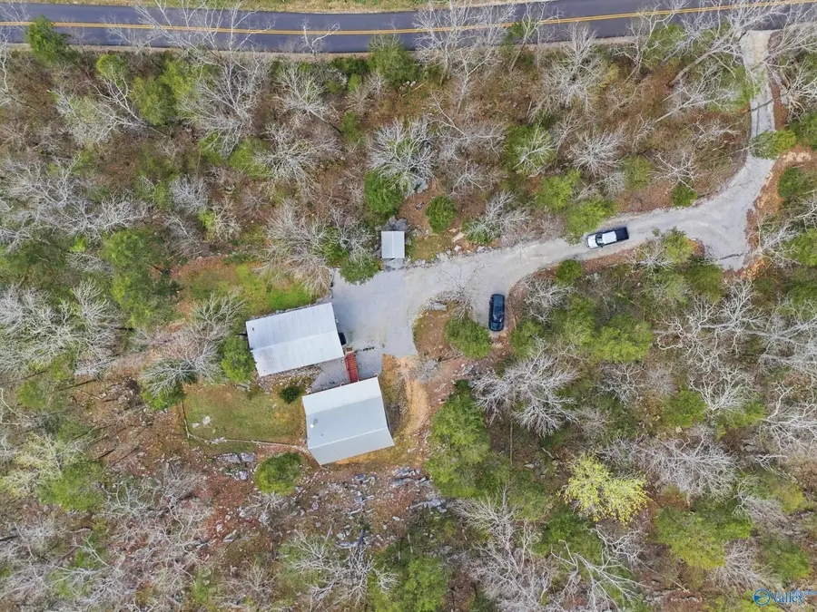 4779 Cathedral Caverns Road, Woodville, AL 35776 - #2