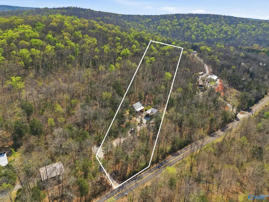 4779 Cathedral Caverns Road, Woodville, AL 35776 - #3