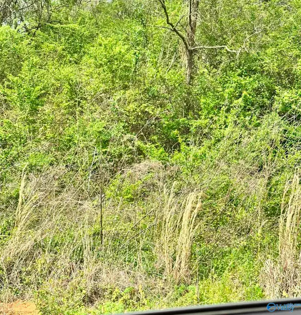 Lot 1 Salem Minor Hill Road, Lester, AL 35647