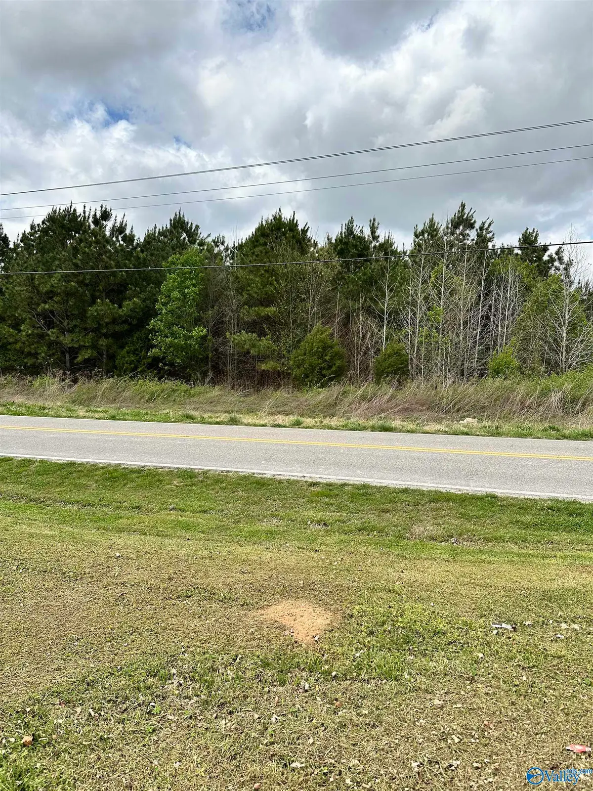 Lot 6 Salem Minor Hill Road, Lester, AL 35647 - #1