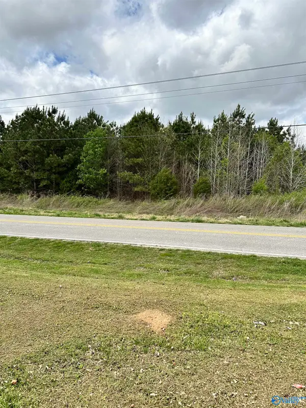 Lot 6 Salem Minor Hill Road, Lester, AL 35647