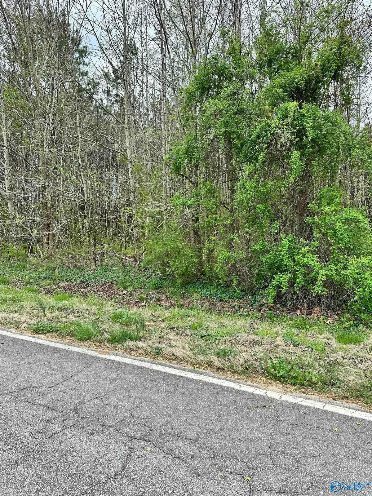 Lot 13 West Limestone School Road, Lester, AL 35647 - #1