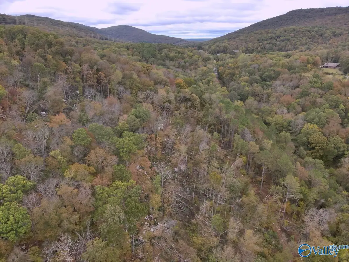 930 Dug Hill Road, Brownsboro, AL 35741 - #1