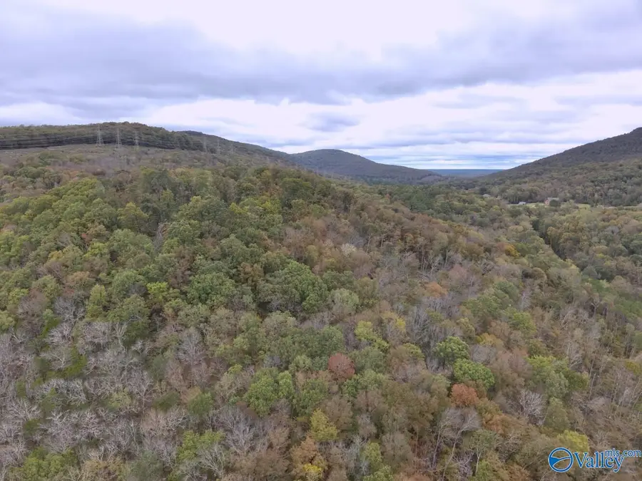 930 Dug Hill Road, Brownsboro, AL 35741 - #2