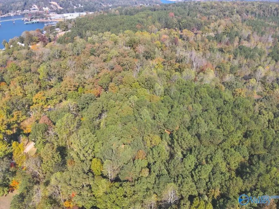 7.7 Acres County Road 97, Bremen, AL 35033 - #2