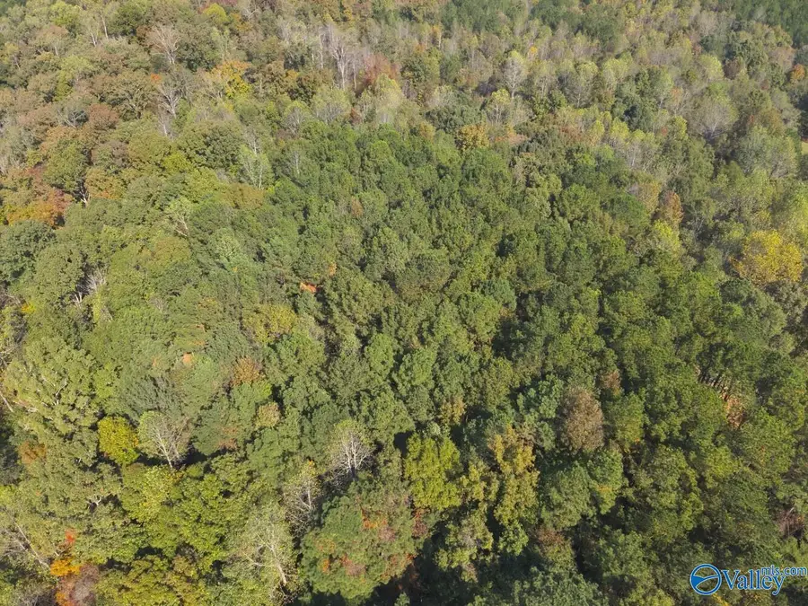 7.7 Acres County Road 97, Bremen, AL 35033 - #3