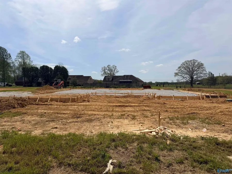 24578 Panther Branch Circle, Athens, AL 35613 - #2