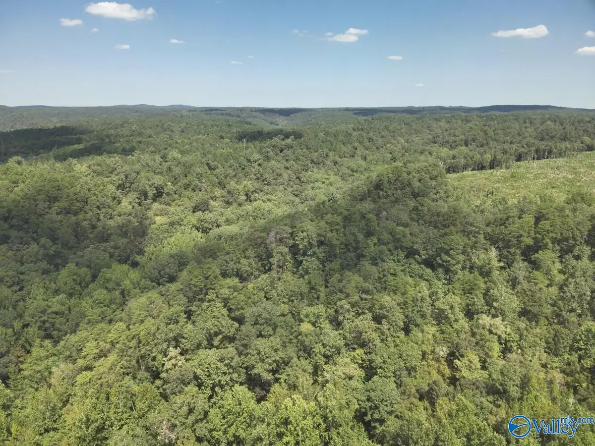 63 Acres Stanley Road, Brookwood, AL 35444 - #1