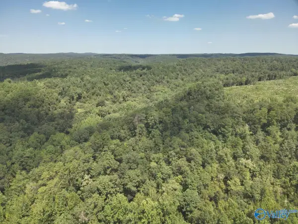 63 Acres Stanley Road, Brookwood, AL 35444
