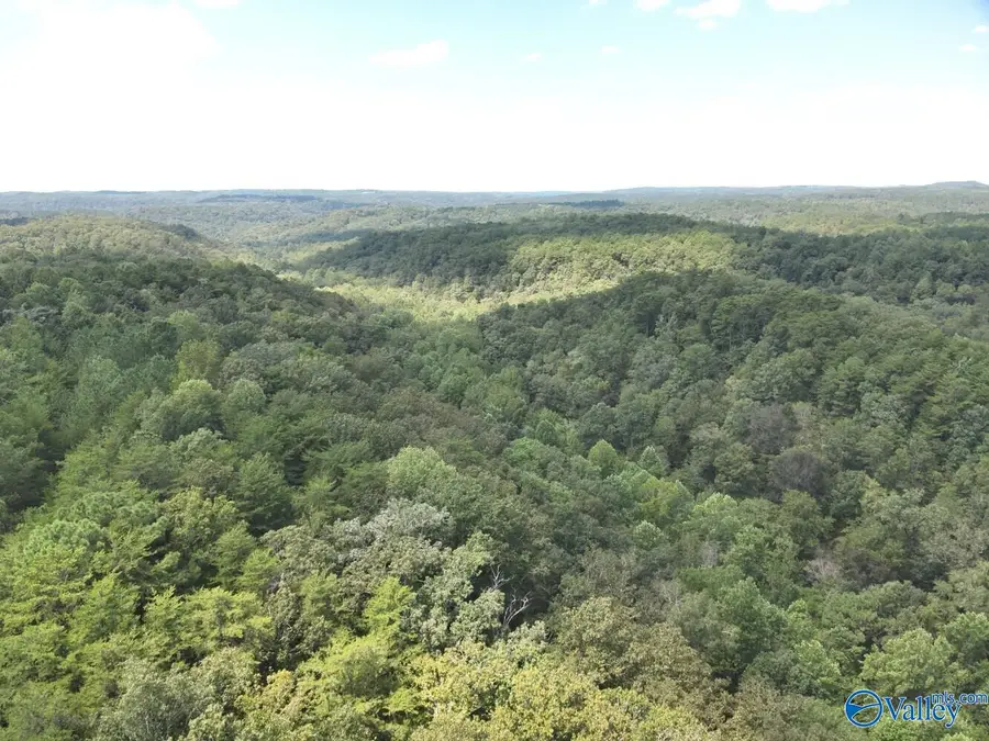 63 Acres Stanley Road, Brookwood, AL 35444 - #2