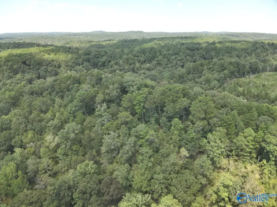 63 Acres Stanley Road, Brookwood, AL 35444 - #3