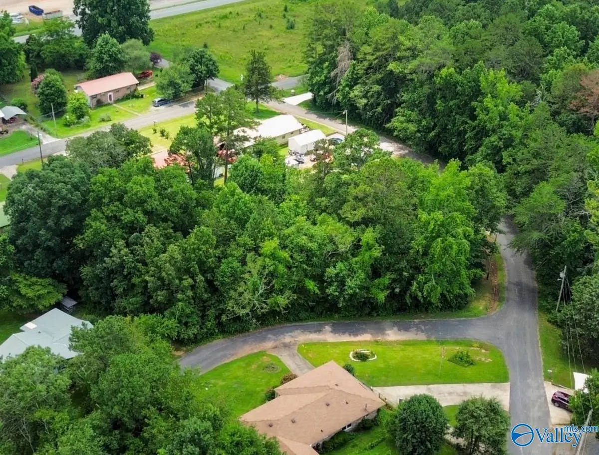 Lot 11 Plains Avenue Sw, Fort Payne, AL 35967 - #1