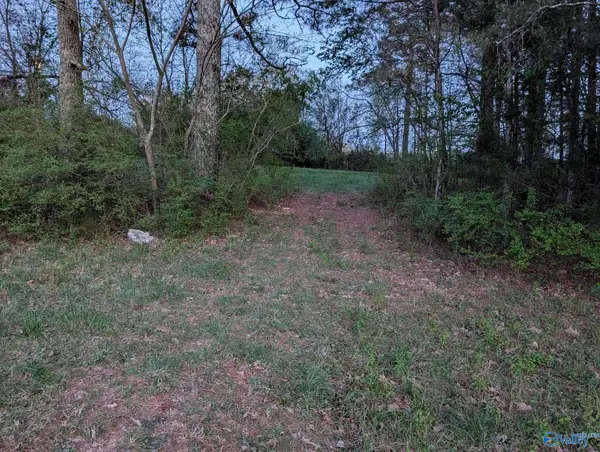 .9 ACRE T R Christian Road, New Hope, AL 35760
