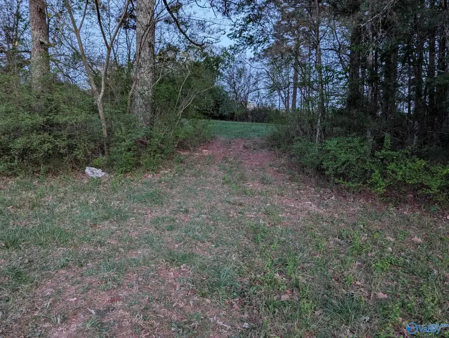 .9 ACRE T R Christian Road, New Hope, AL 35760 - #2