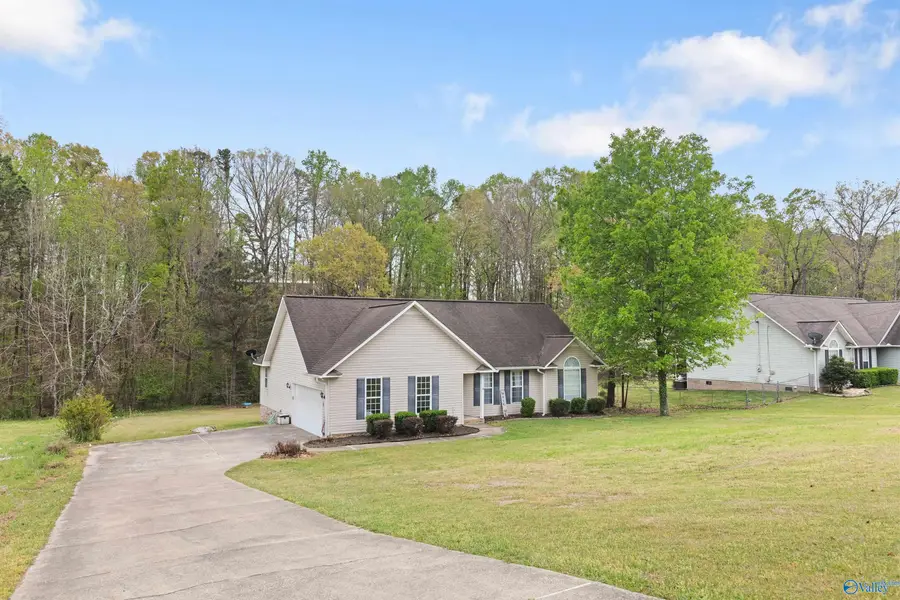 6205 Vista Trail, Southside, AL 35907 - #2