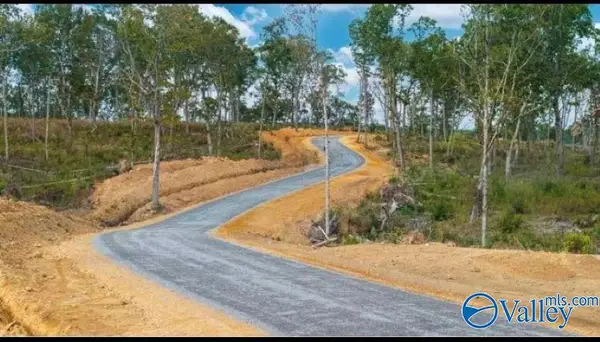 Tract 22.2 County Road 9114, Mentone, AL 35984