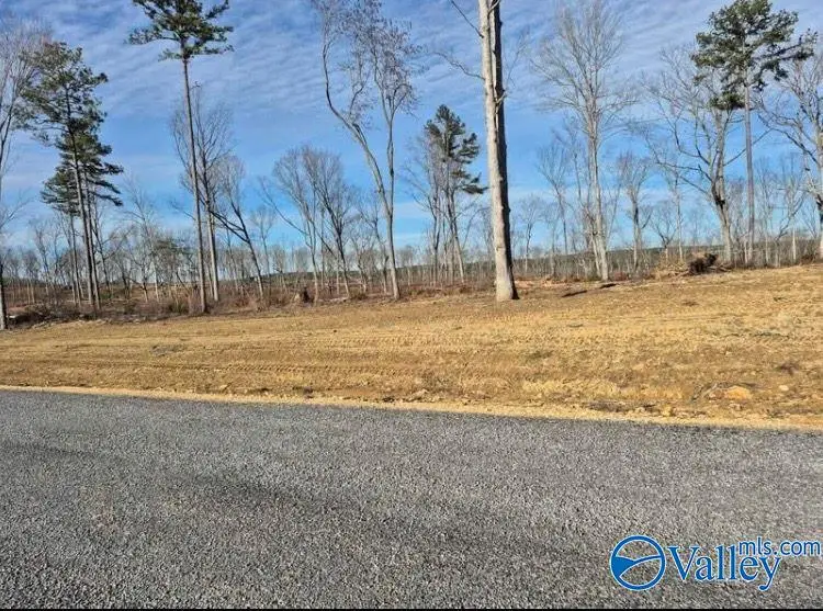 Tract 22.2 County Road 9114, Mentone, AL 35984 - #2