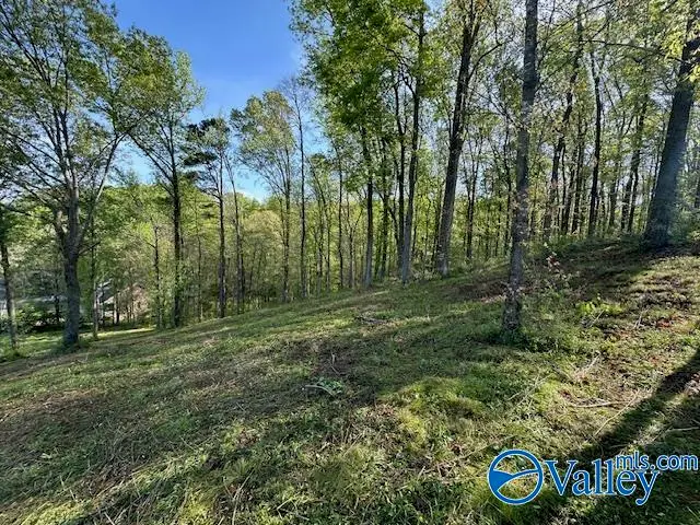 Lot 27 Hualapai Lane, Guntersville, AL 35976 - #2