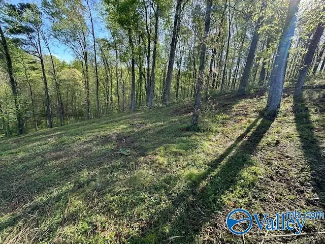Lot 27 Hualapai Lane, Guntersville, AL 35976 - #3