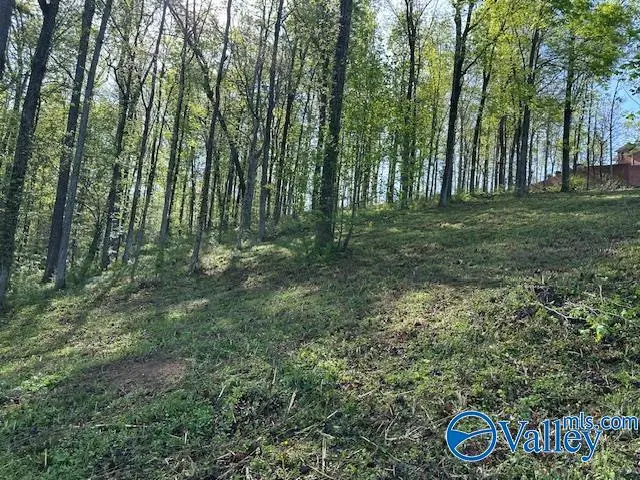 Lot 28 Hualapai Lane, Guntersville, AL 35976 - #2